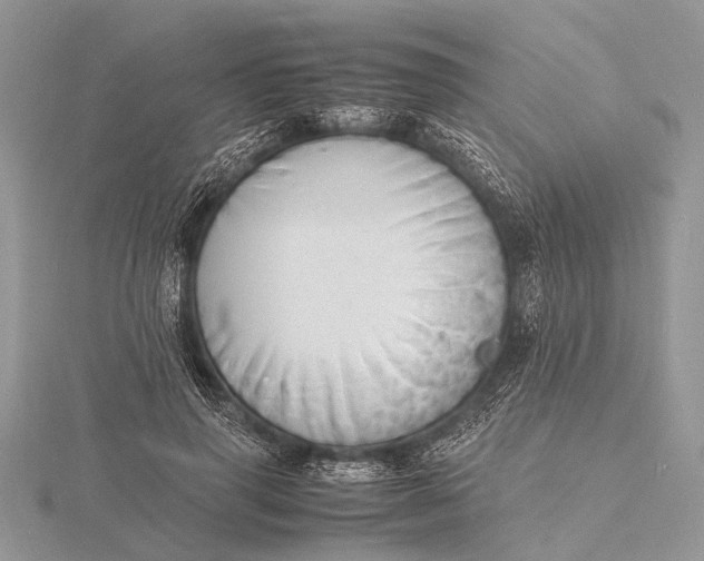 X0000116140645200912071244