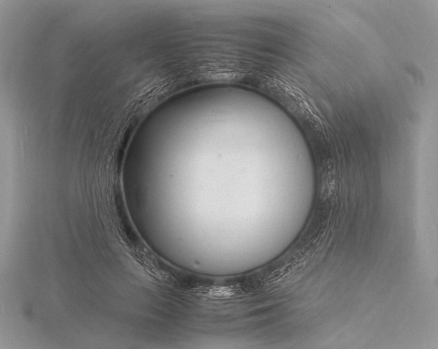 X0000116140647200912071244