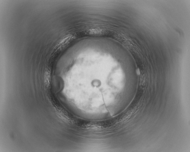 X0000116140648200912071244