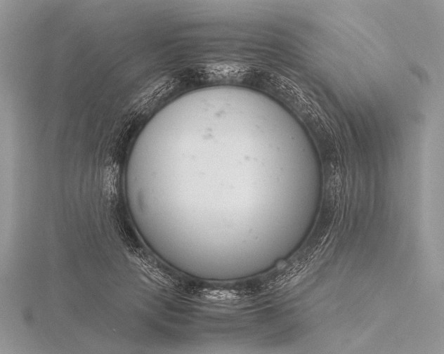 X0000116140649200912071244