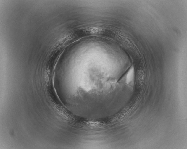 X0000116140650200912071244