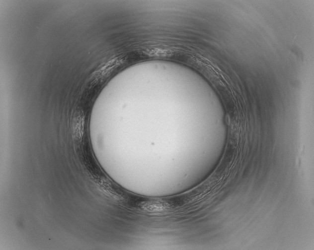 X0000116140652200912071244