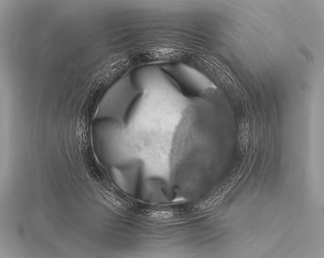 X0000116140653200912071244