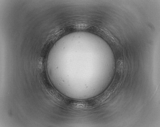 X0000116140655200912071244