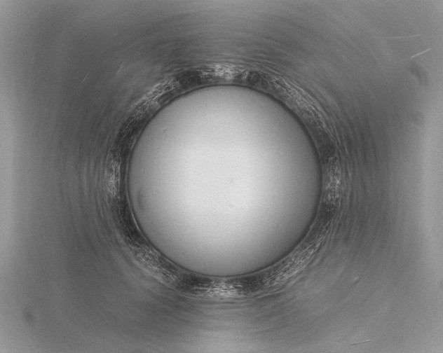 X0000116140656200912071244