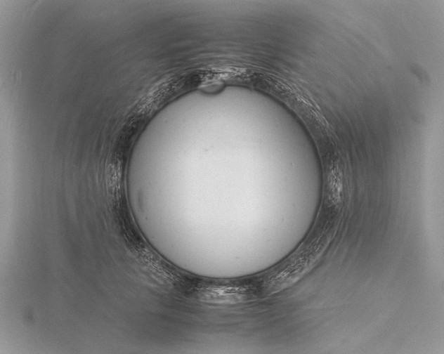 X0000116140657200912071244