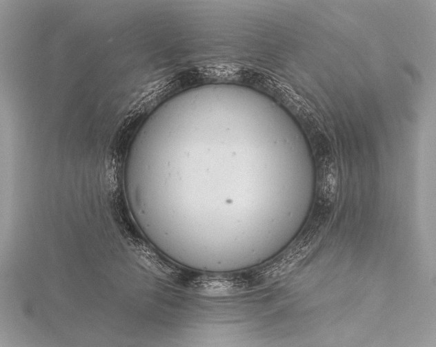 X0000116140658200912071244