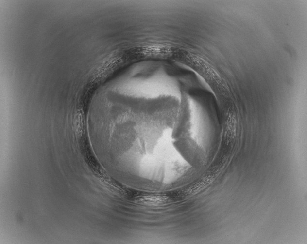 X0000116140659200912071244