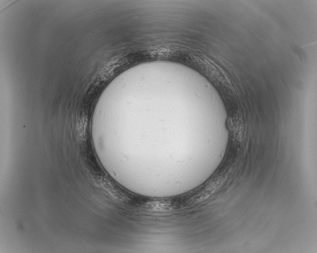 X0000116140660200912071244