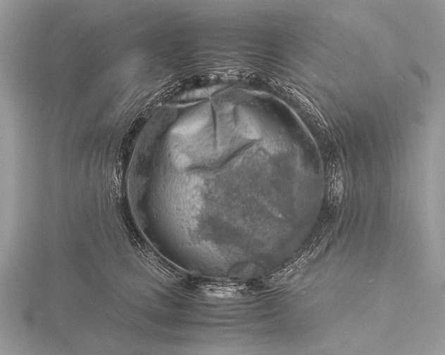 X0000116140661200912071244