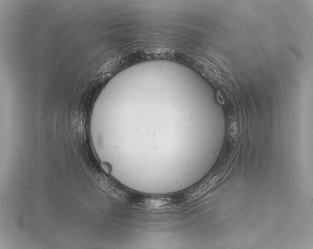 X0000116140662200912071244