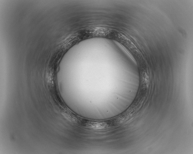 X0000116140663200912071244