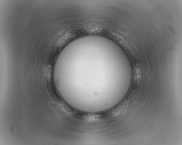 X0000116140664200912071244