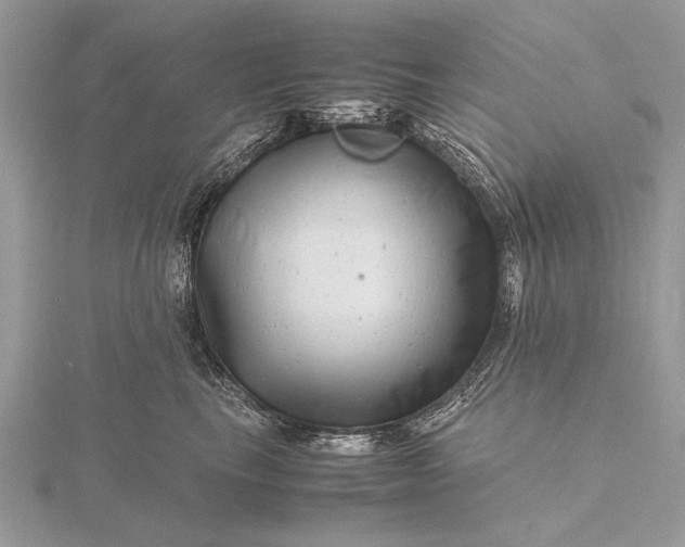 X0000116140665200912071244