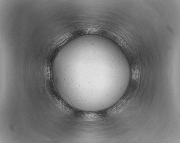 X0000116140666200912071244