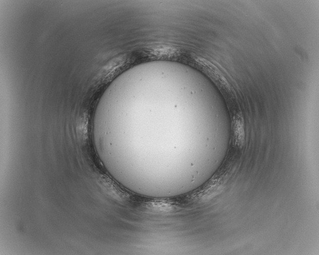 X0000116140668200912071244