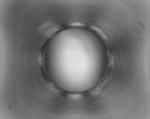 X0000116140669200912071244