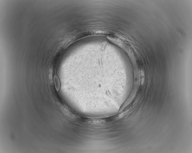 X0000116140670200912071244