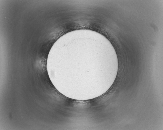 X0000116140672200912071244