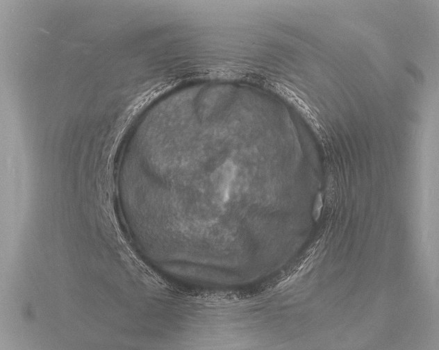 X0000116140673200912071243