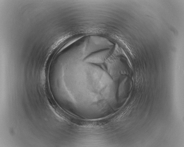 X0000116140674200912071243