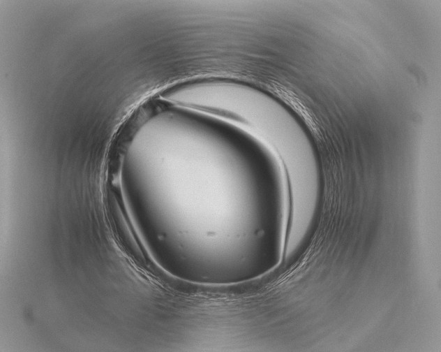 X0000116140676200912071243