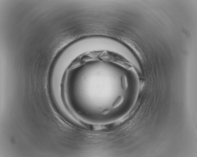 X0000116140677200912071243