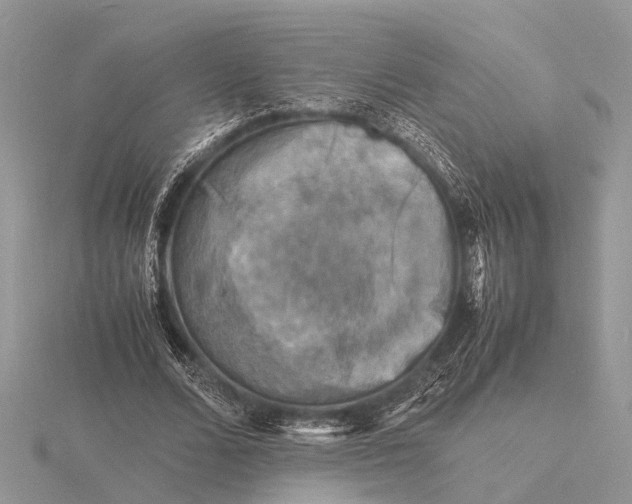 X0000116140680200912071243