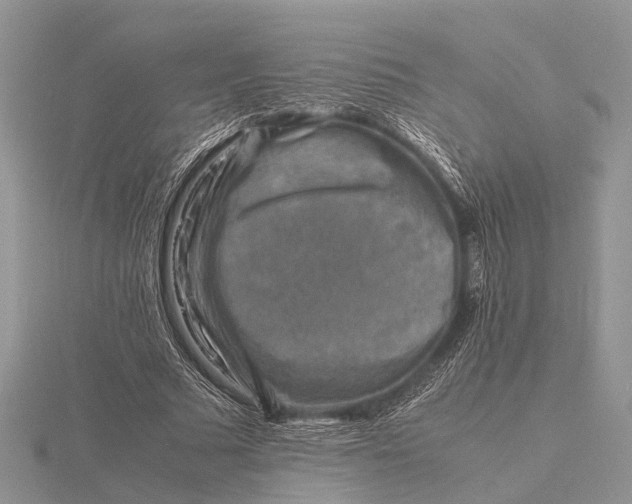 X0000116140681200912071243