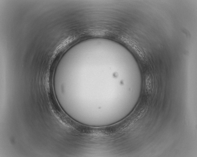 X0000116140682200912071243