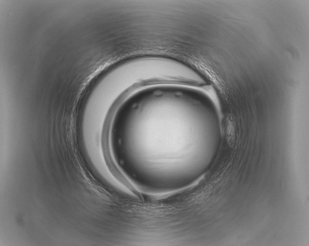 X0000116140684200912071243