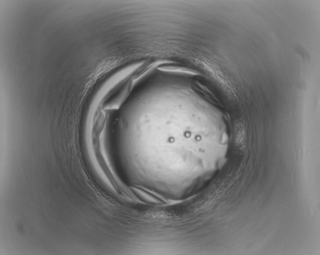 X0000116140685200912071243