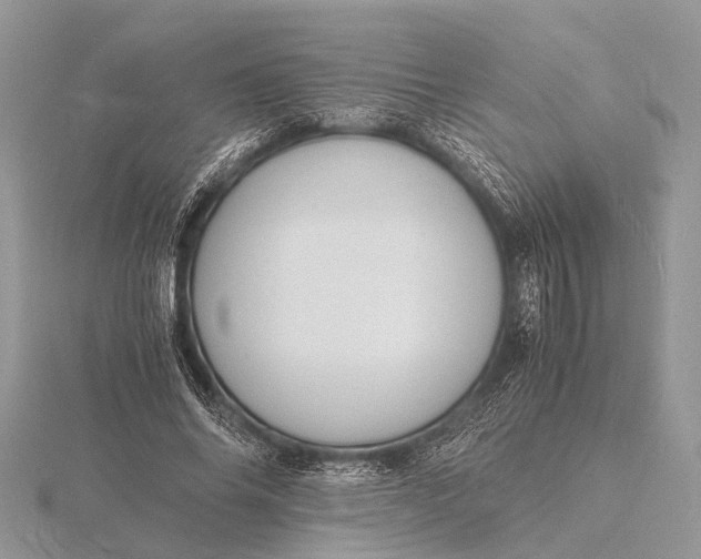 X0000116140686200912071243