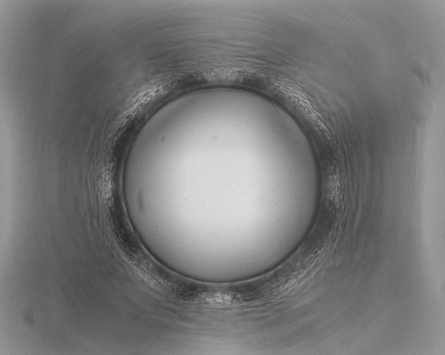 X0000116140687200912071243