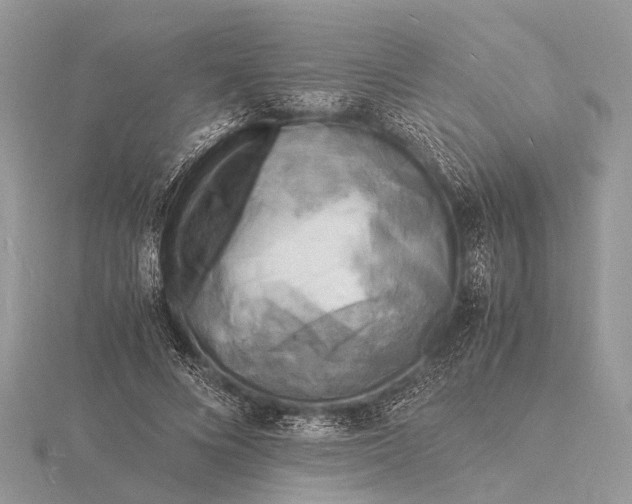 X0000116140688200912071243