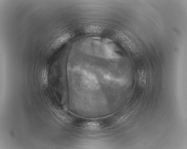 X0000116140692200912071243