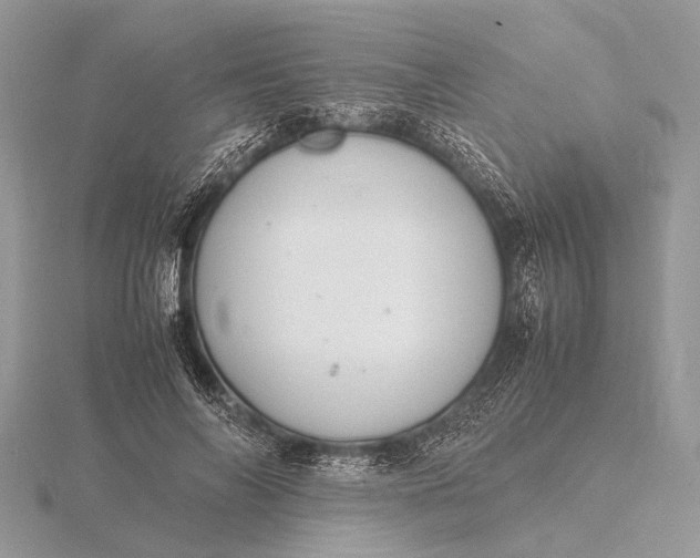 X0000116140694200912071243