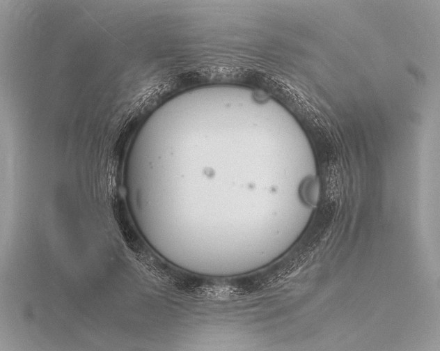 X0000116140695200912071243