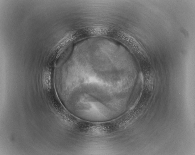 X0000116140696200912071243