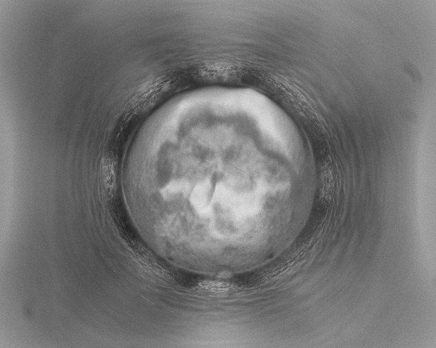 X0000116140699200912071243