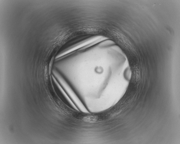 X0000116140700200912071243