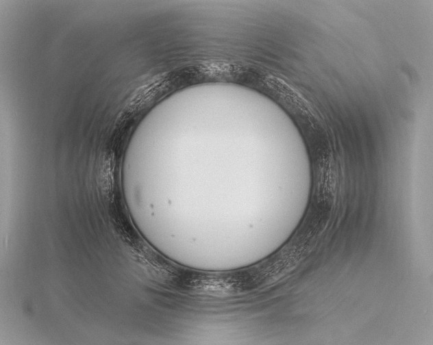 X0000116140702200912071243