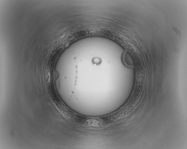 X0000116140703200912071243