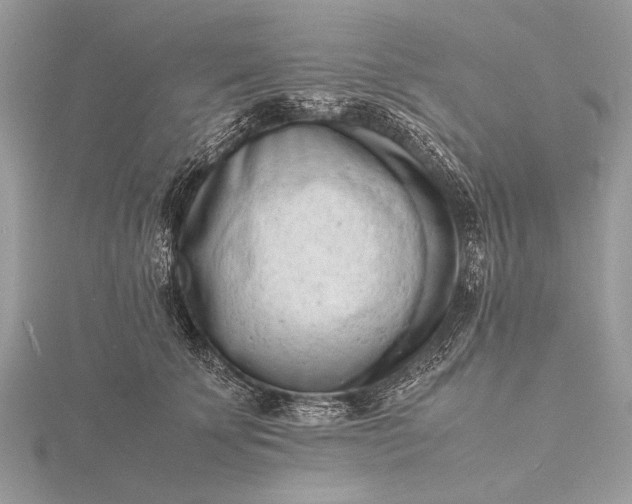 X0000116140707200912071243