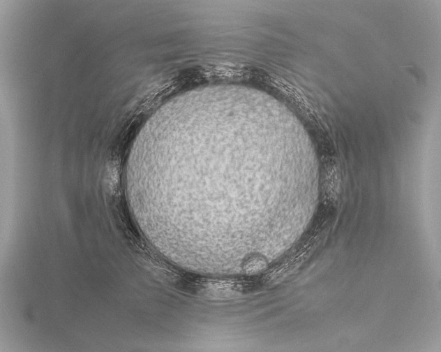 X0000116140709200912071243