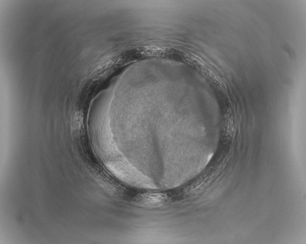 X0000116140711200912071243