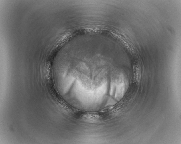 X0000116140712200912071243