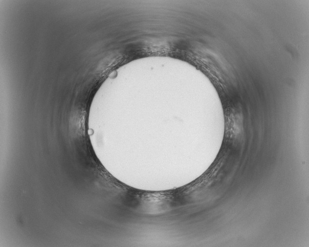 X0000116140717200912071243