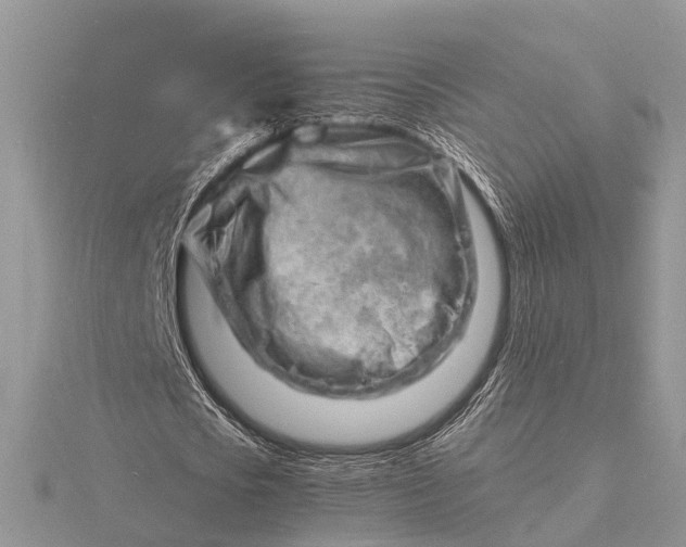 X0000116140721200912071242