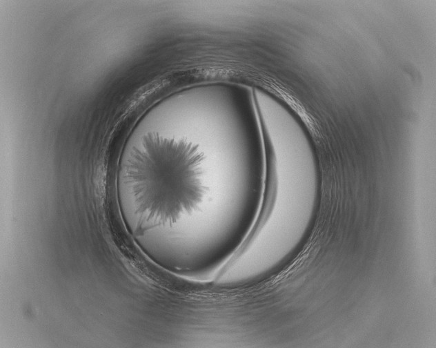 X0000116140722200912071242